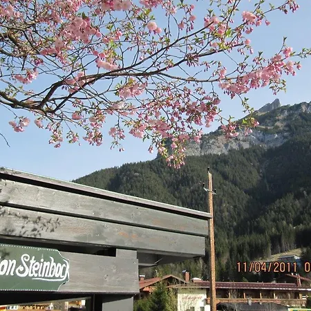 Guest house Steinbock 3*