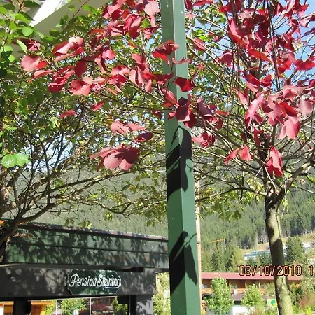 Guest house Steinbock 3*