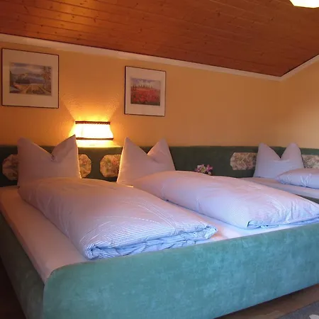 Steinbock Pensjonat 3*